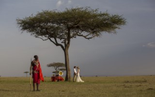 Elephant Pepper Camp [320x200]